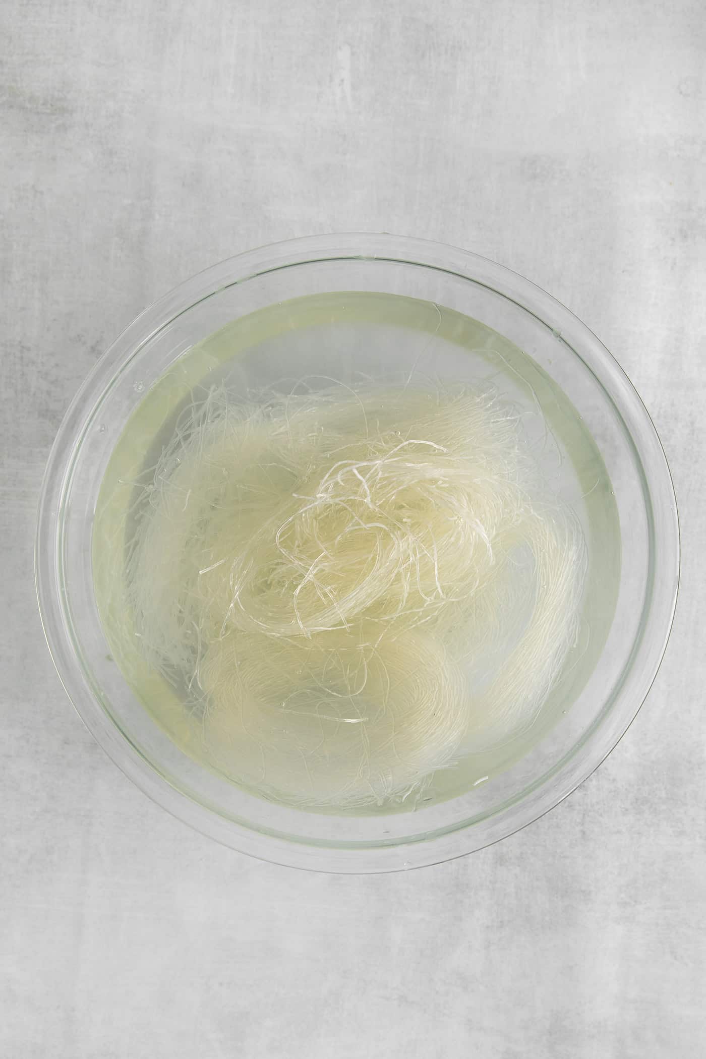 Glass noodles soaking in water