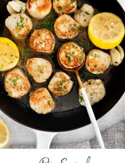 Pinterest image for seared scallops