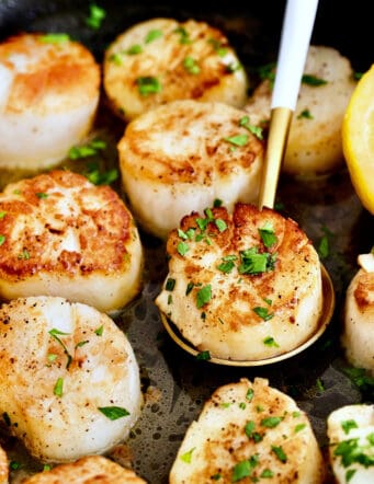 sea scallops seared in a pan