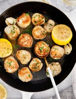 Overhead view of seared scallops in a skillet