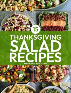 15 Easy Thanksgiving Salad Recipes l A Farmgirl's Dabbles