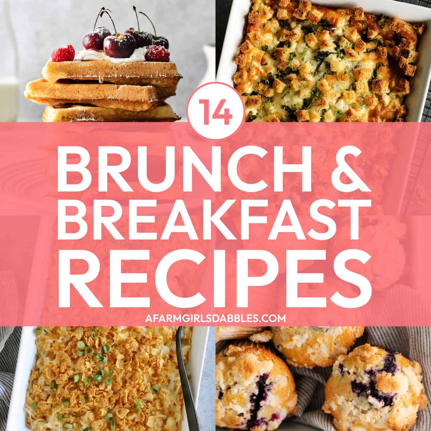 collage with text of 14 breakfast & brunch recipes