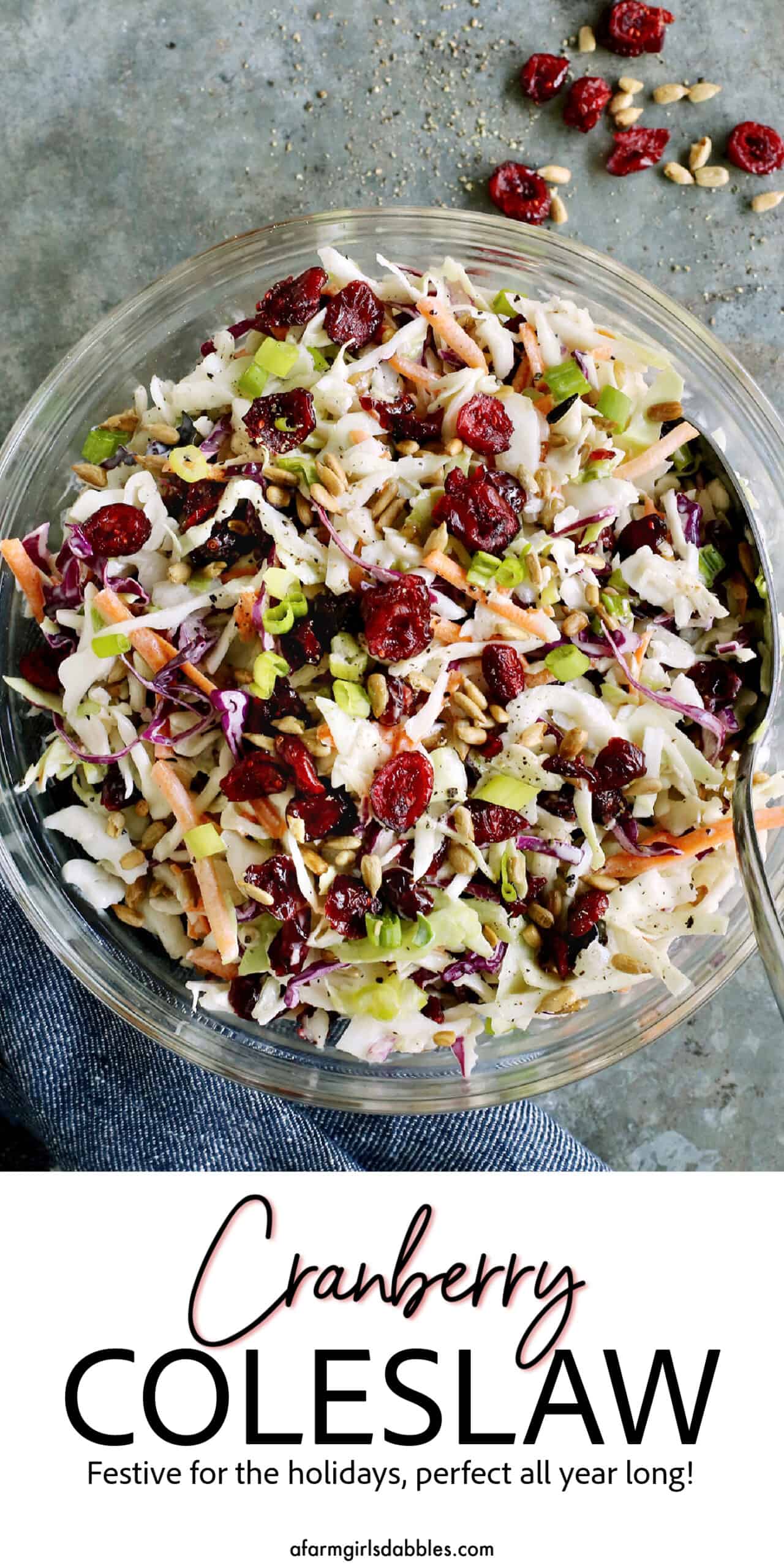 Pinterest image for cranberry coleslaw