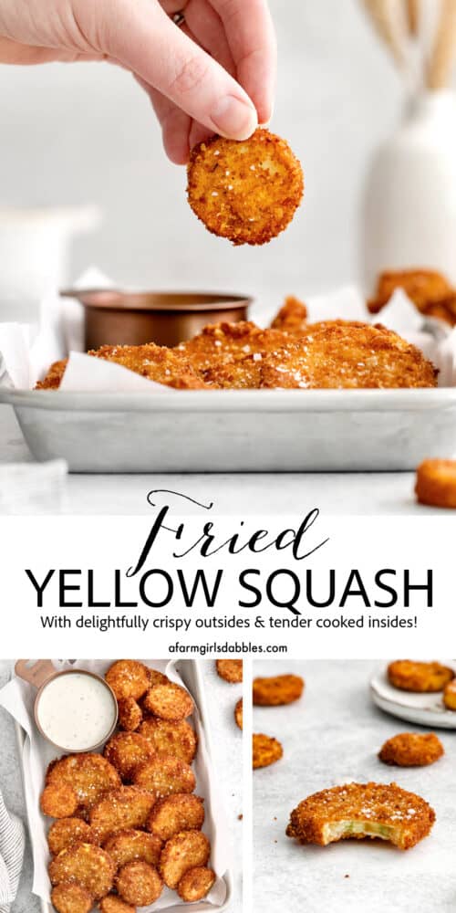 Crispy Fried Yellow Squash l A Farmgirl's Dabbles