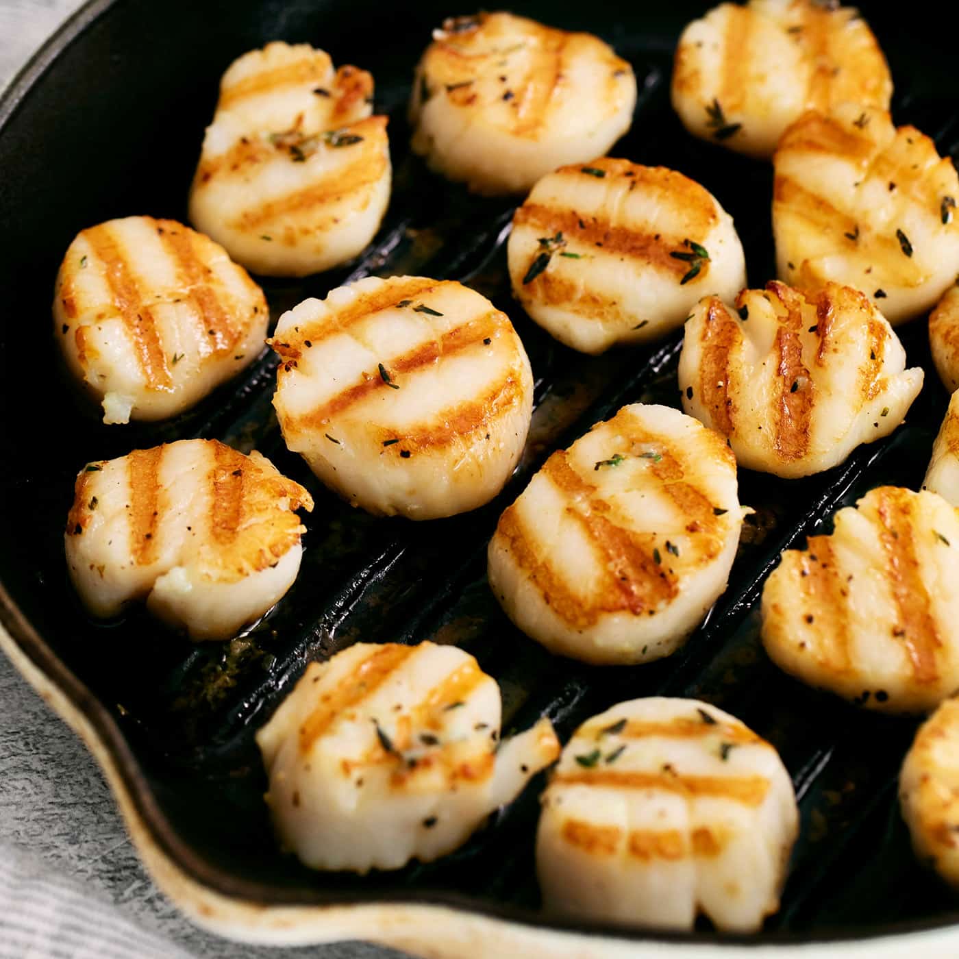 Seared scallops in a grill pan
