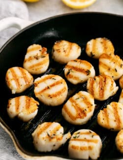 Grilled scallops in a grill pan