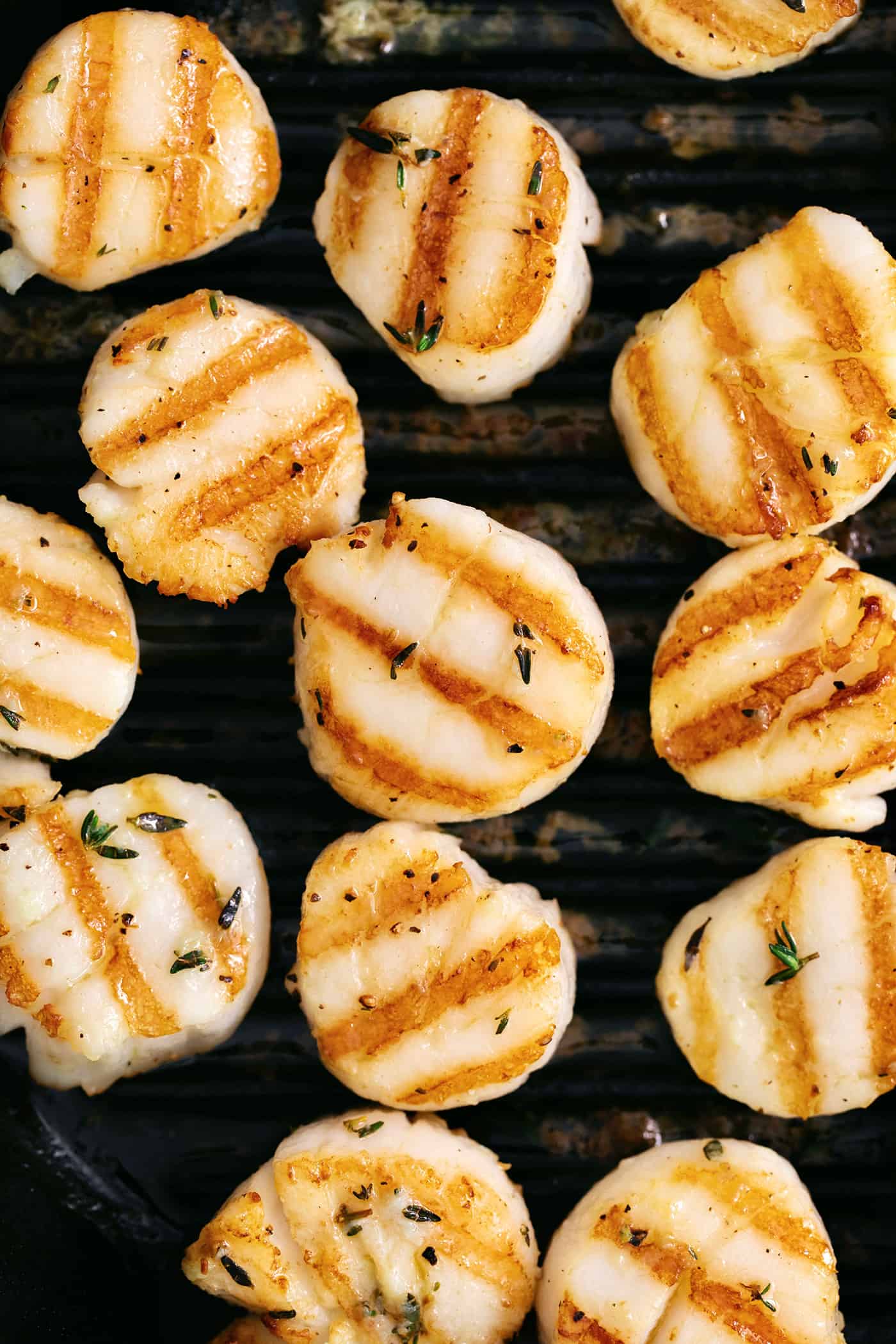 Overhead view of grilled scallops