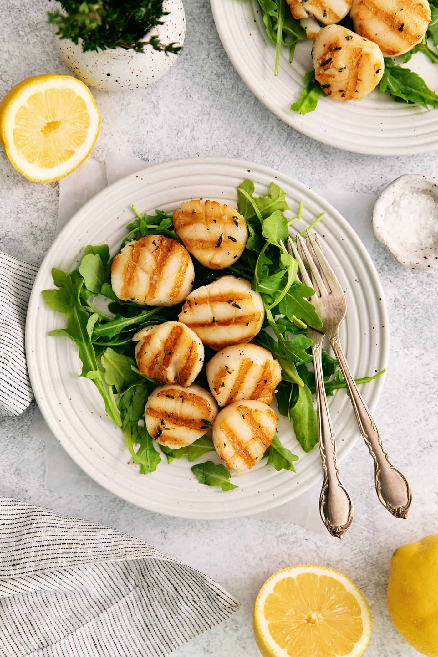 Grilled scallops on a bed of greens