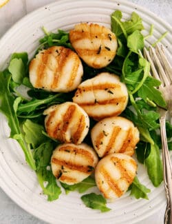 a plate of grilled scallops on a bed of arugula
