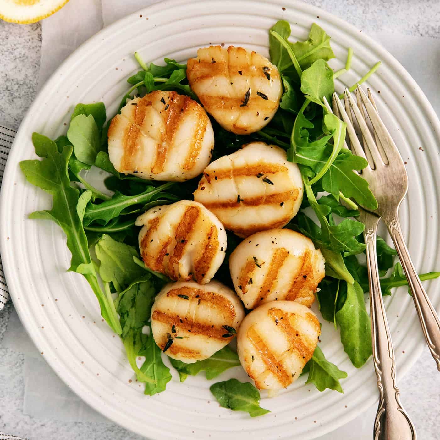 a plate of grilled scallops on a bed of arugula