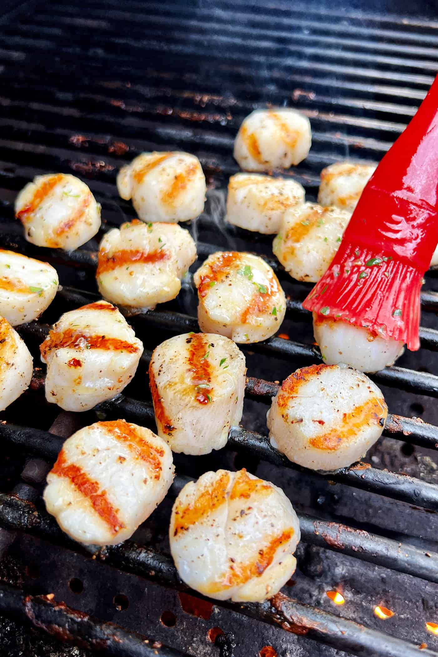 cooking scallops on the grill