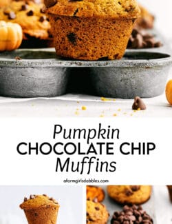 Pinterest image for pumpkin chocolate chip muffins