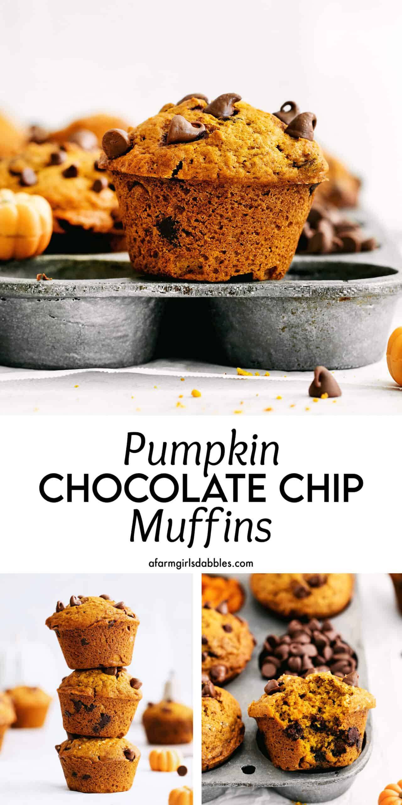 Pinterest image for pumpkin chocolate chip muffins