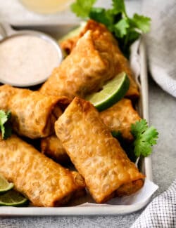 Egg rolls on the corner of a tray