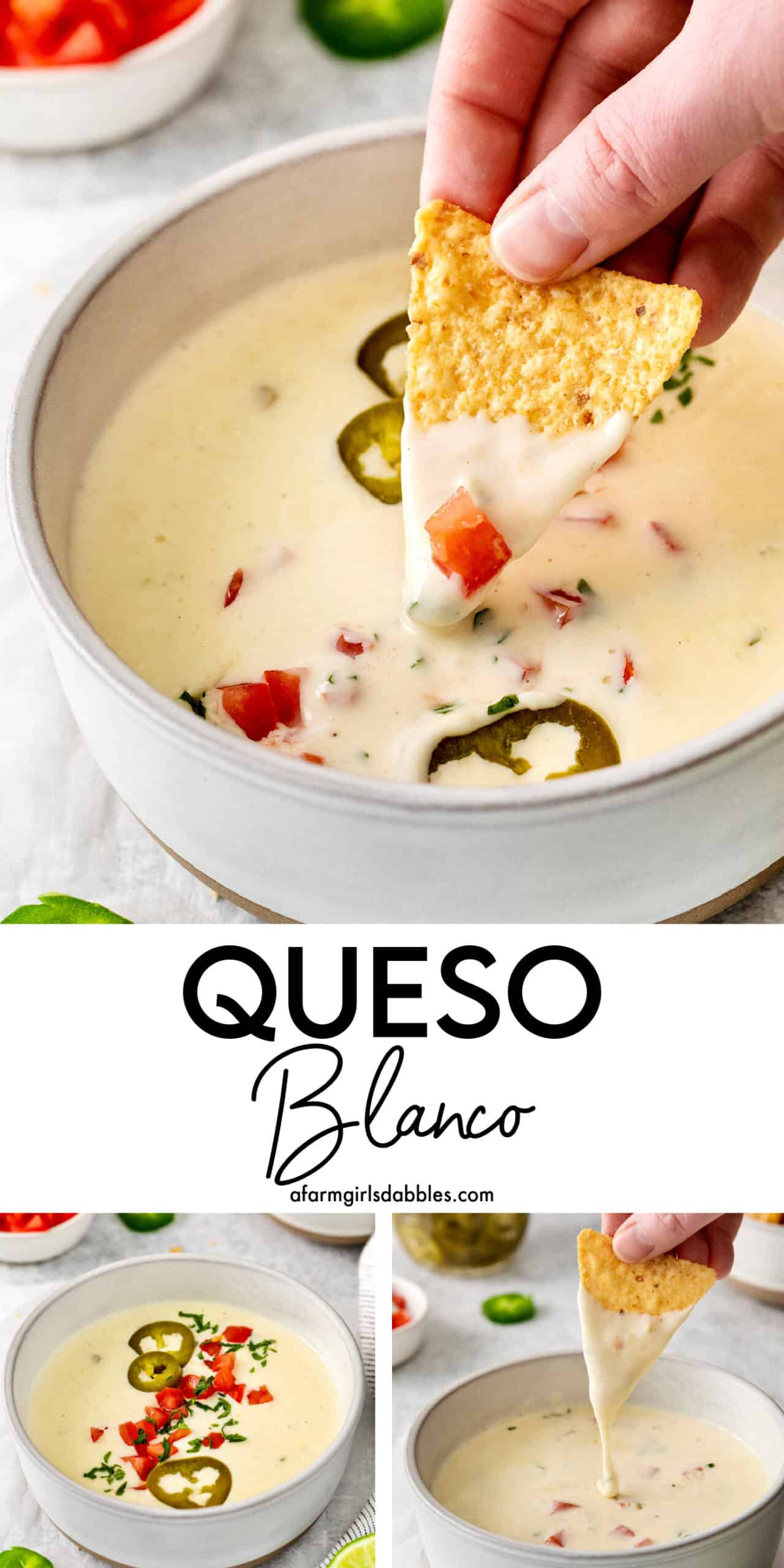 Pinterest image for queso blanco