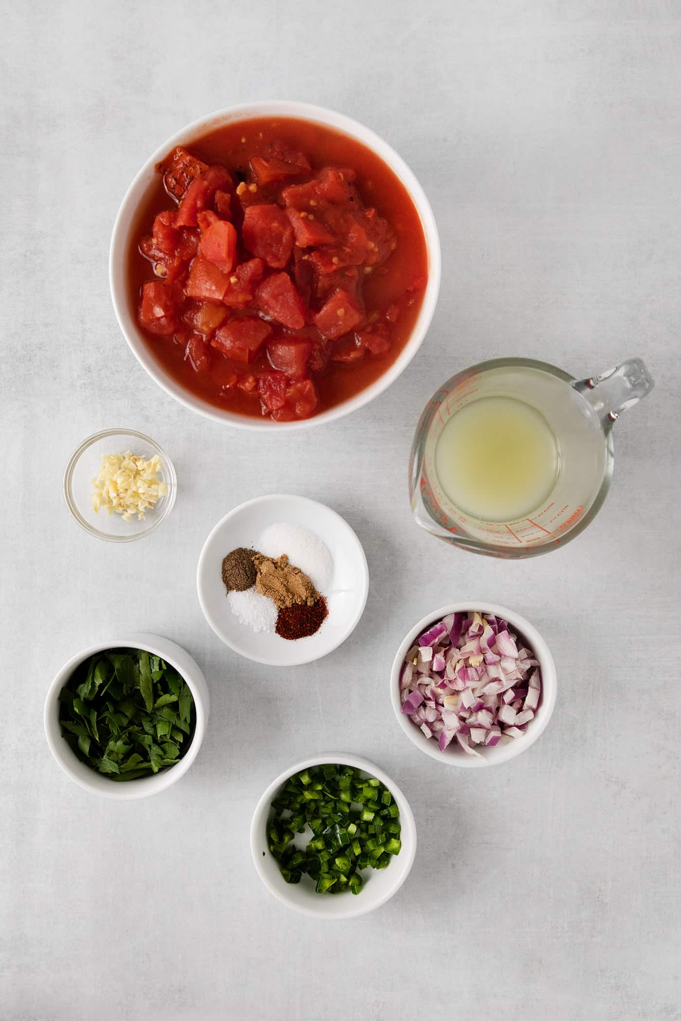 Overhead view of blender salsa ingredients