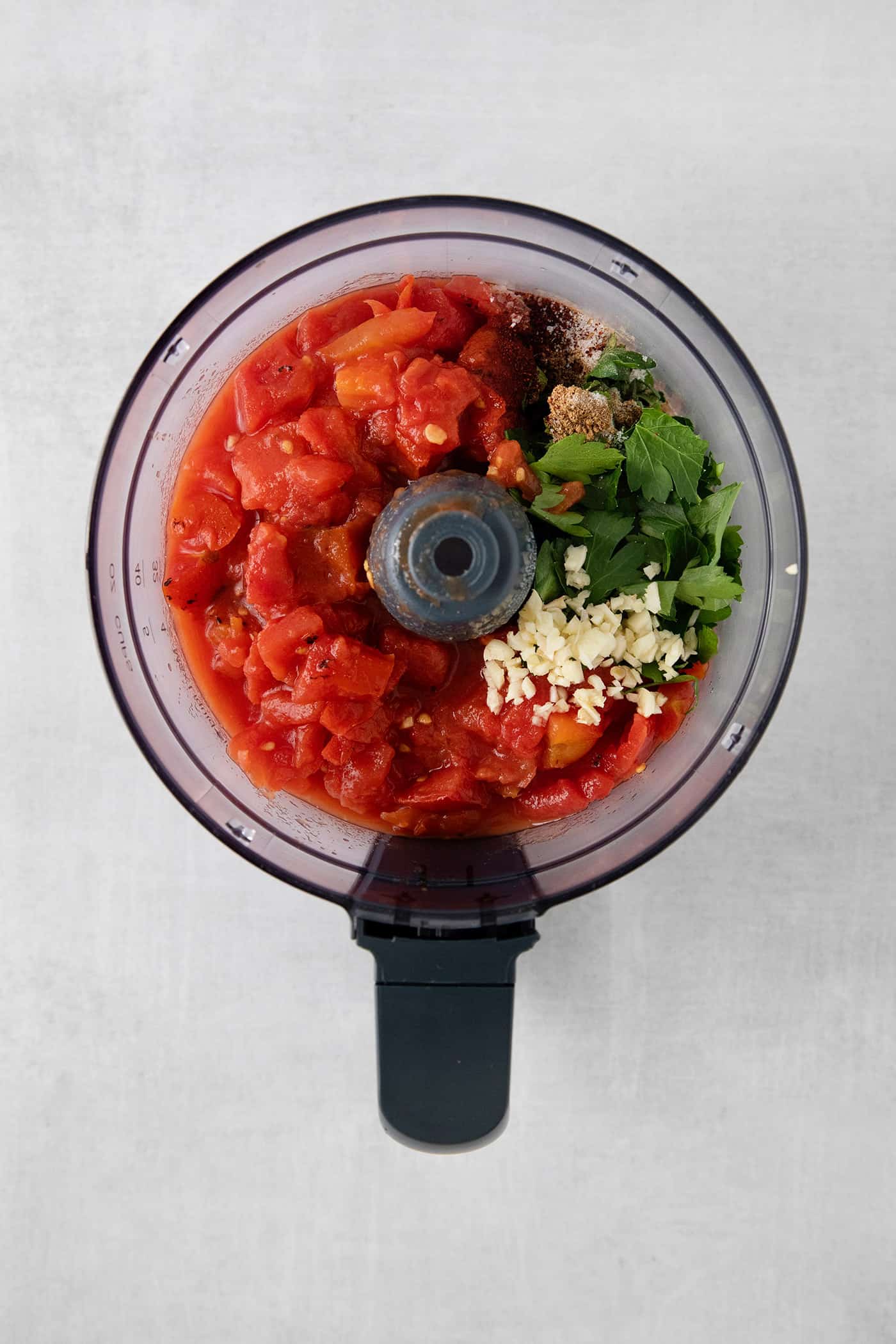 Canned tomatoes, cilantr, jalapeno, garlic, and onion in a food processor