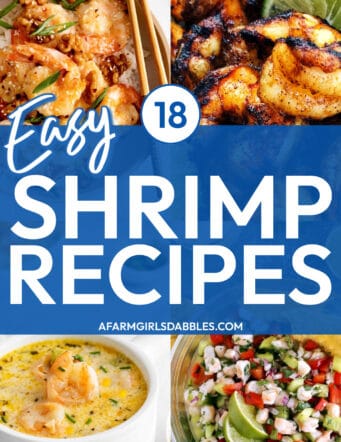photo collage for 18 easy shrimp recipes