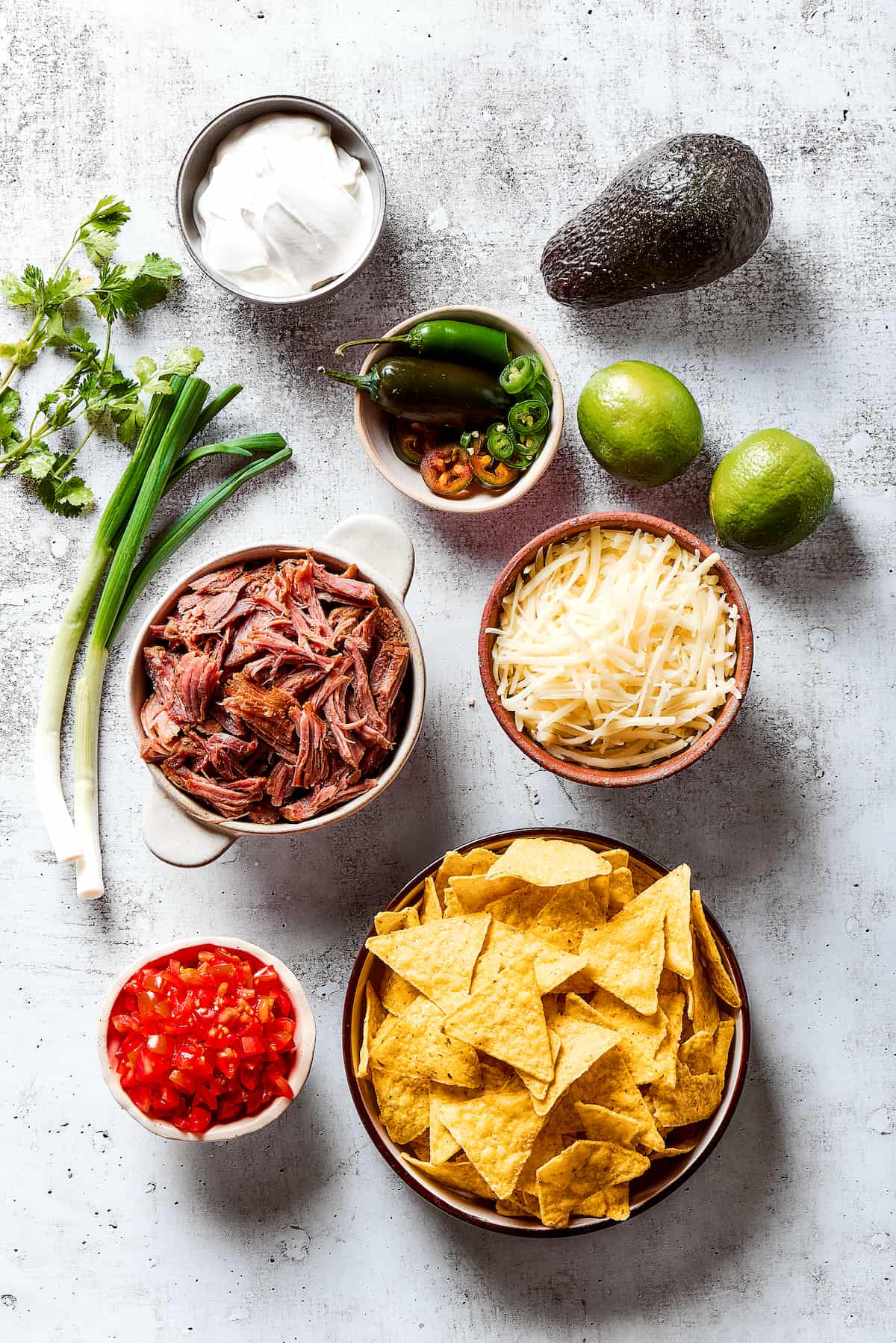 Overhead view of BBQ pulled pork nacho ingredients