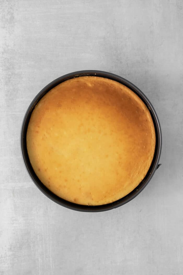 Freshly baked cheesecake in a springform pan