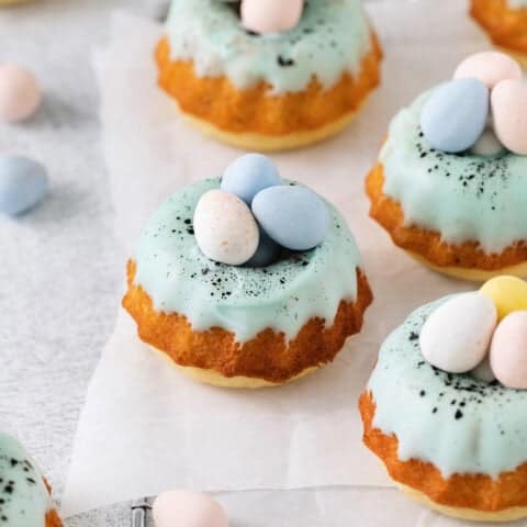 Overhead view of Robin's egg mini bundt cakes