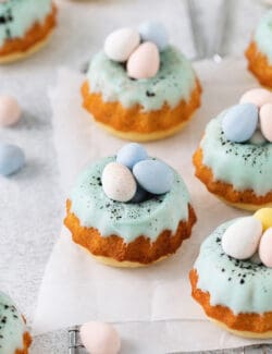 Overhead view of robin's egg mini bundt cakes