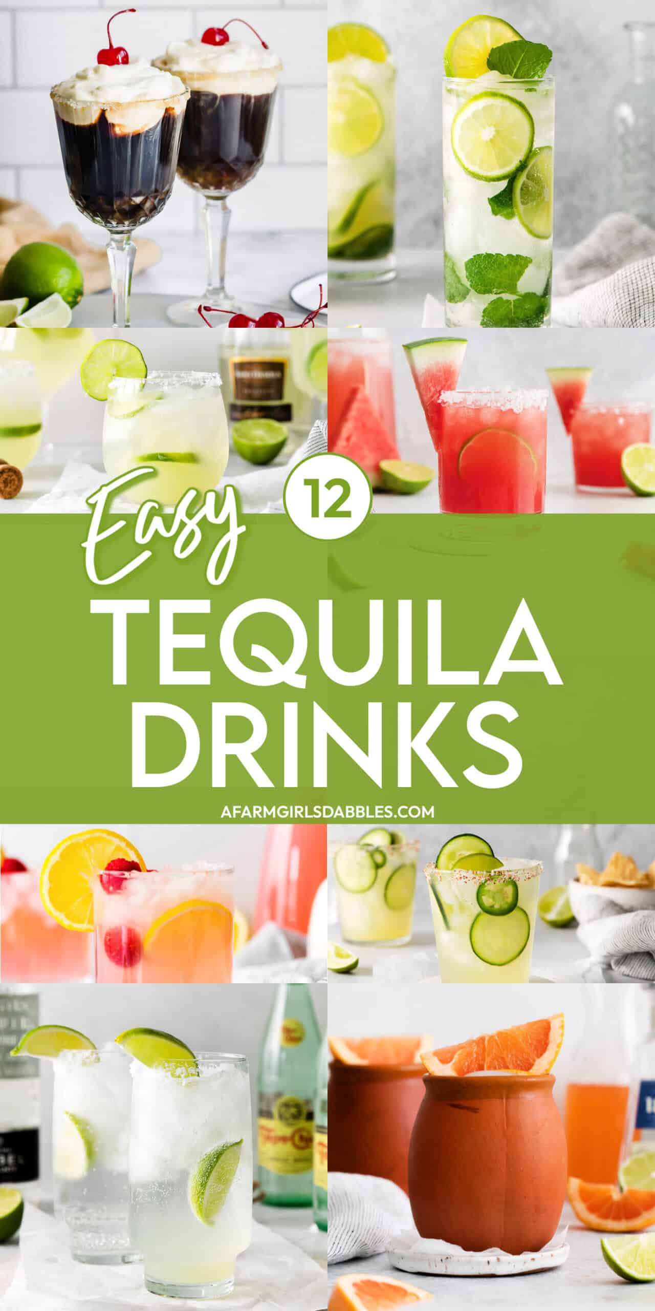 Pinterest image for 12 Easy Tequila Drinks