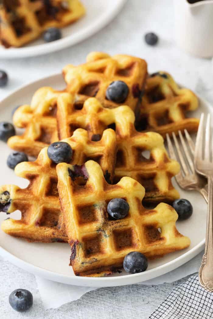 Blueberry Waffles A Farmgirl's Dabbles
