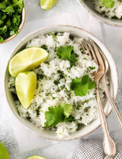 Overhead view of a bowl of cilantro lime rice