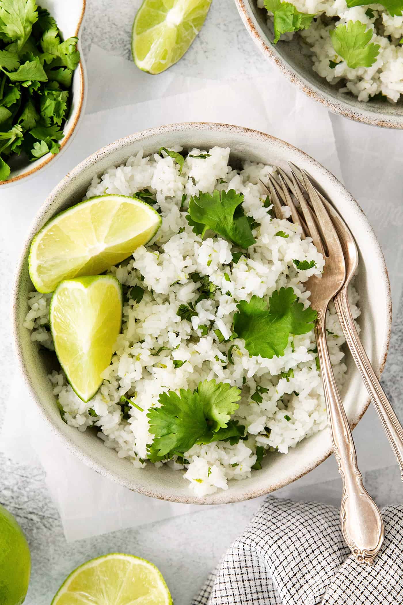 Overhead view of a bowl of cilantro lime rice
