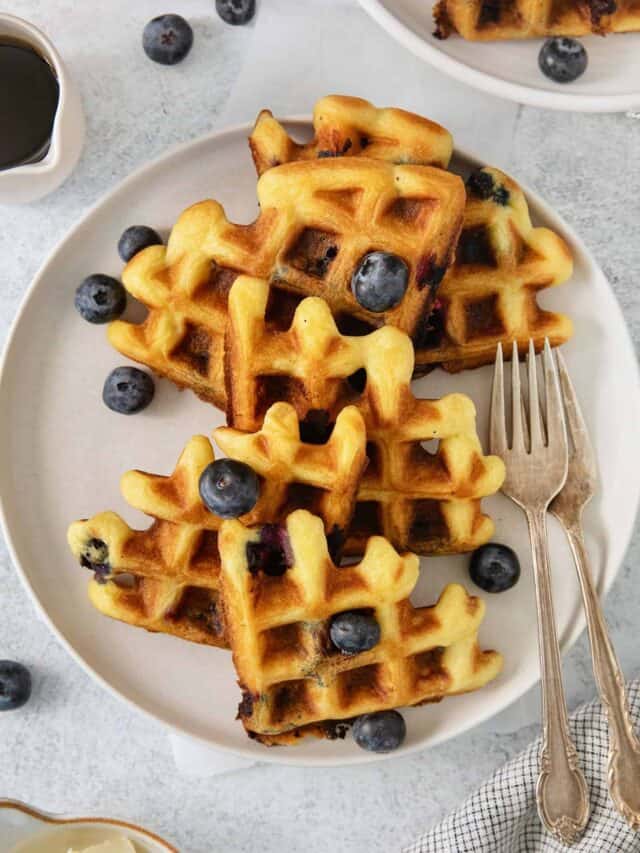 Blueberry Waffles a farmgirl's dabbles