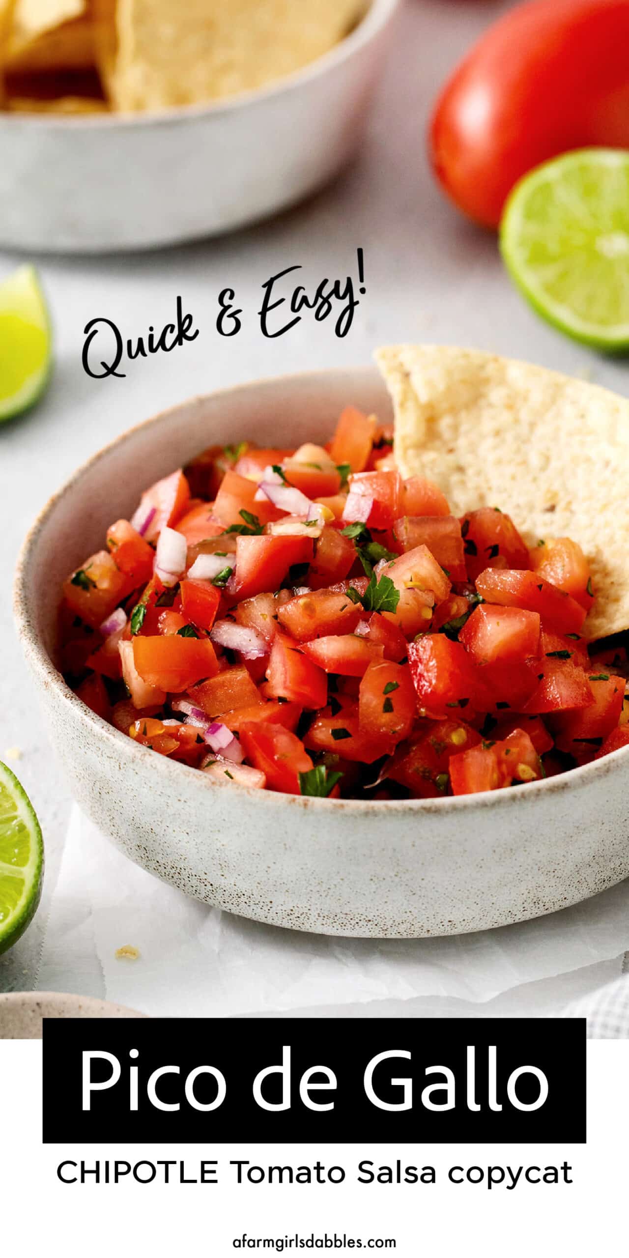 Pinterest image for pico de gallo