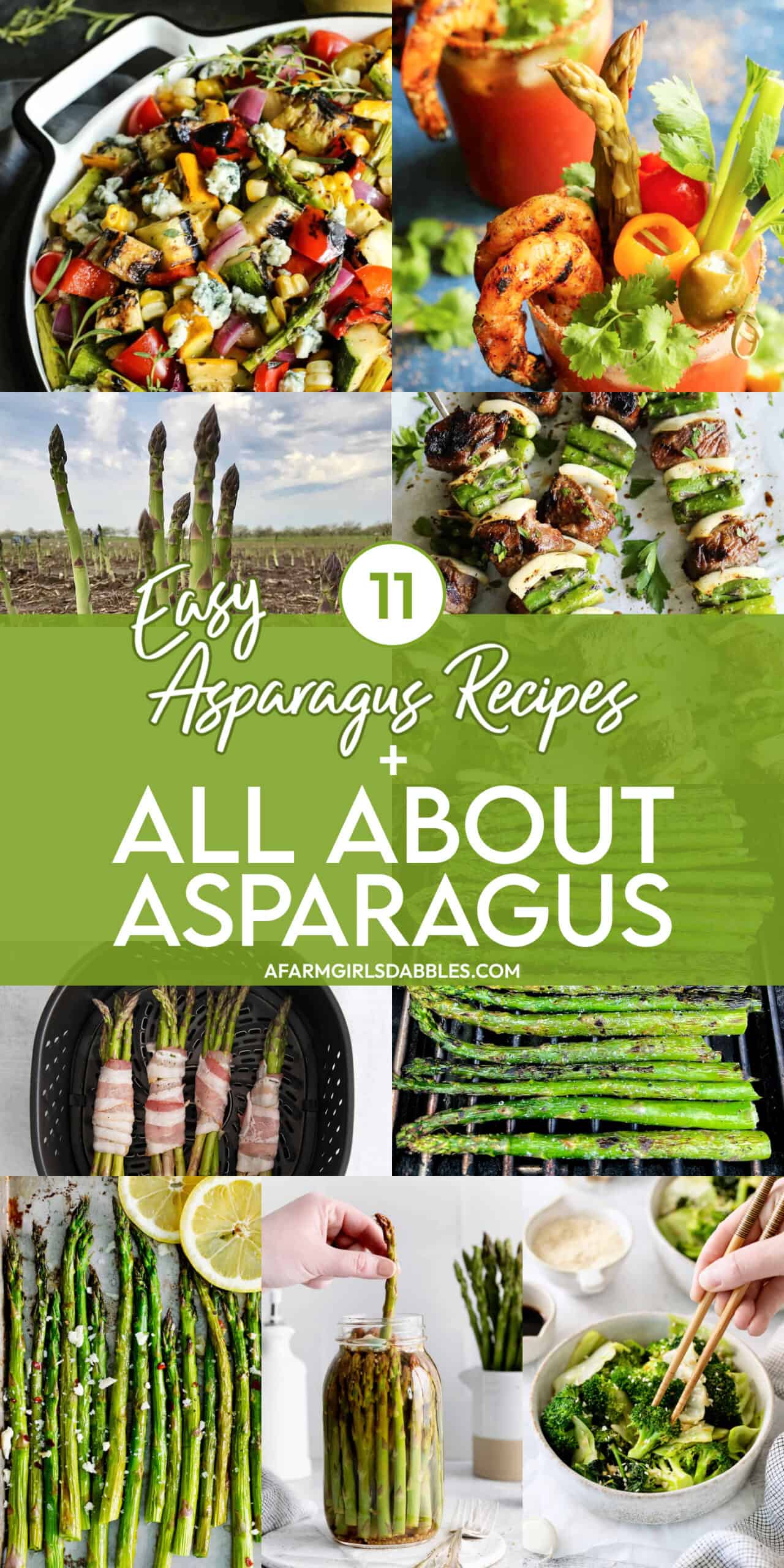 Pinterest image for All About Asparagus + 11 Asparagus Recipes