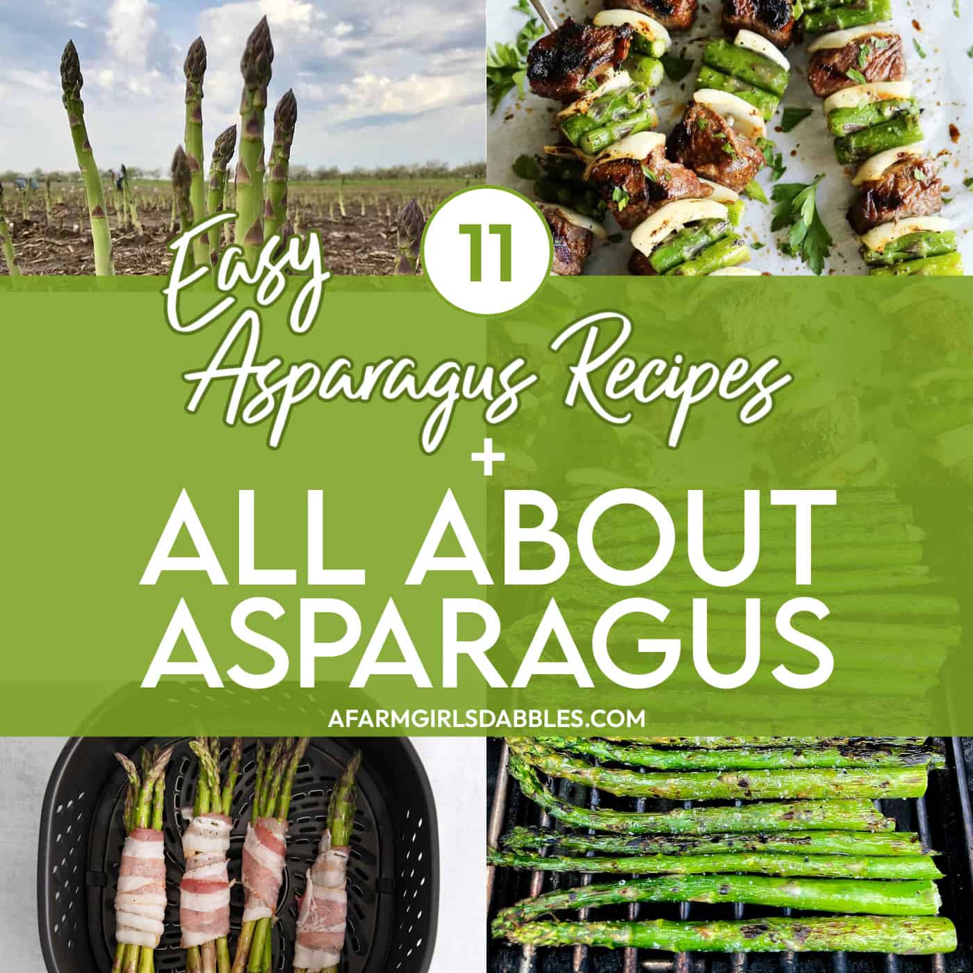 All About Asparagus (Plus 11 Easy Asparagus Recipes!)