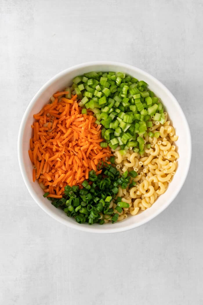 Macaroni pasta and carrots, onion, and celery are seen together in a white bowl.