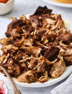 A platter of pulled pork.