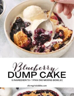 Pinterest image for blueberry dump cake