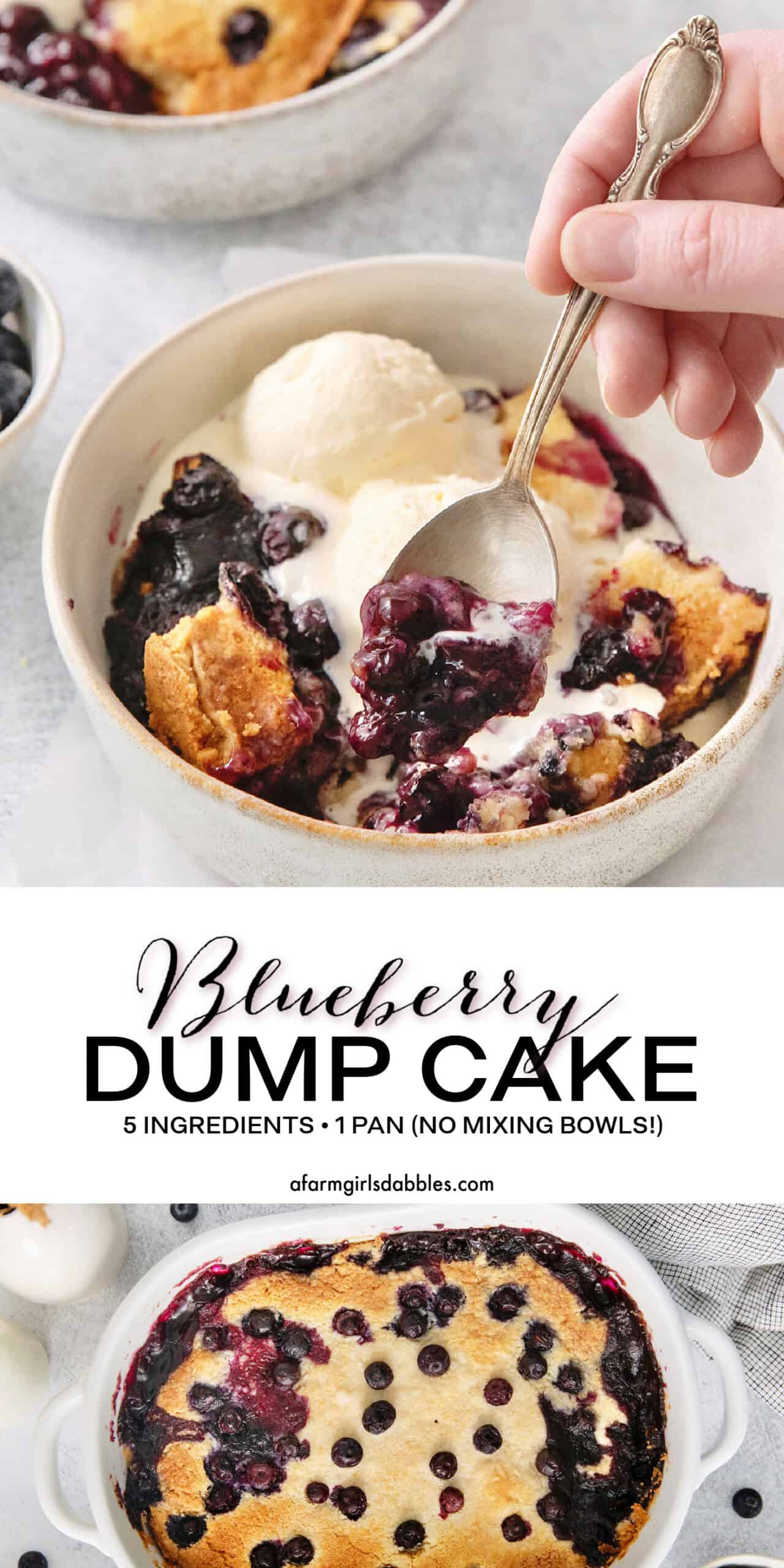 Pinterest image for blueberry dump cake