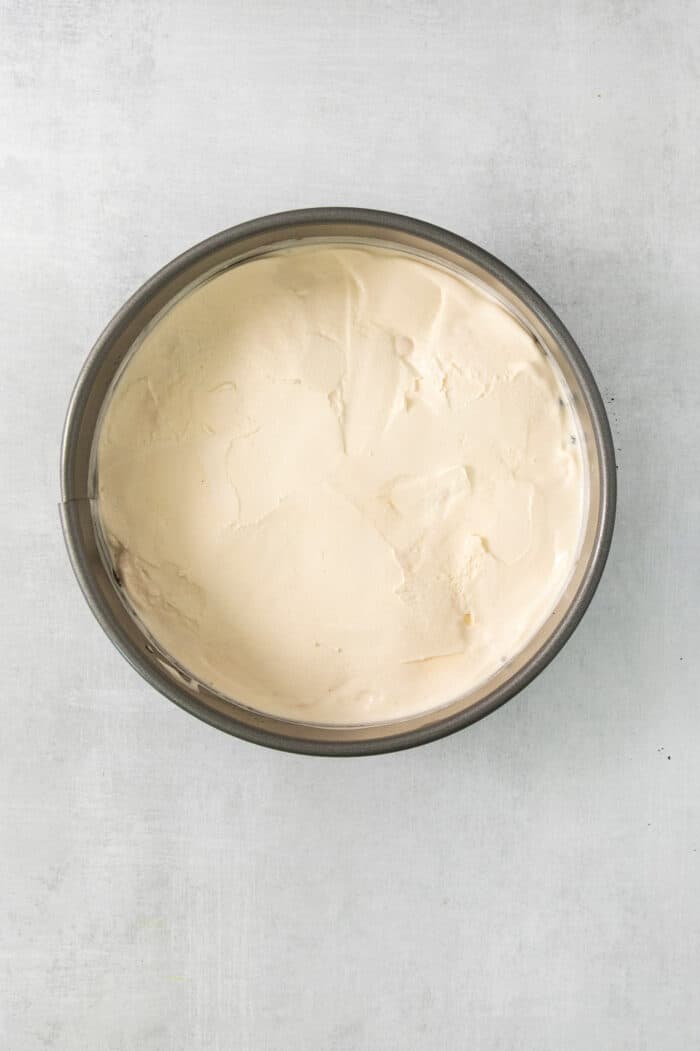 Vanilla ice cream in a springform pan