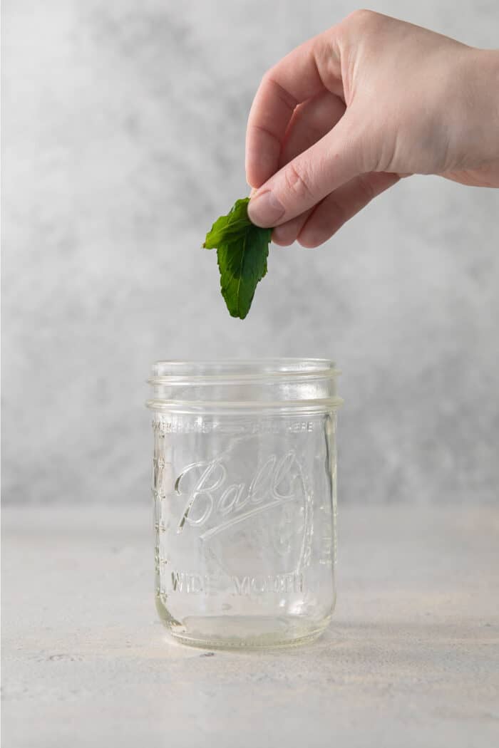 A hand adds mint to a ball jar.