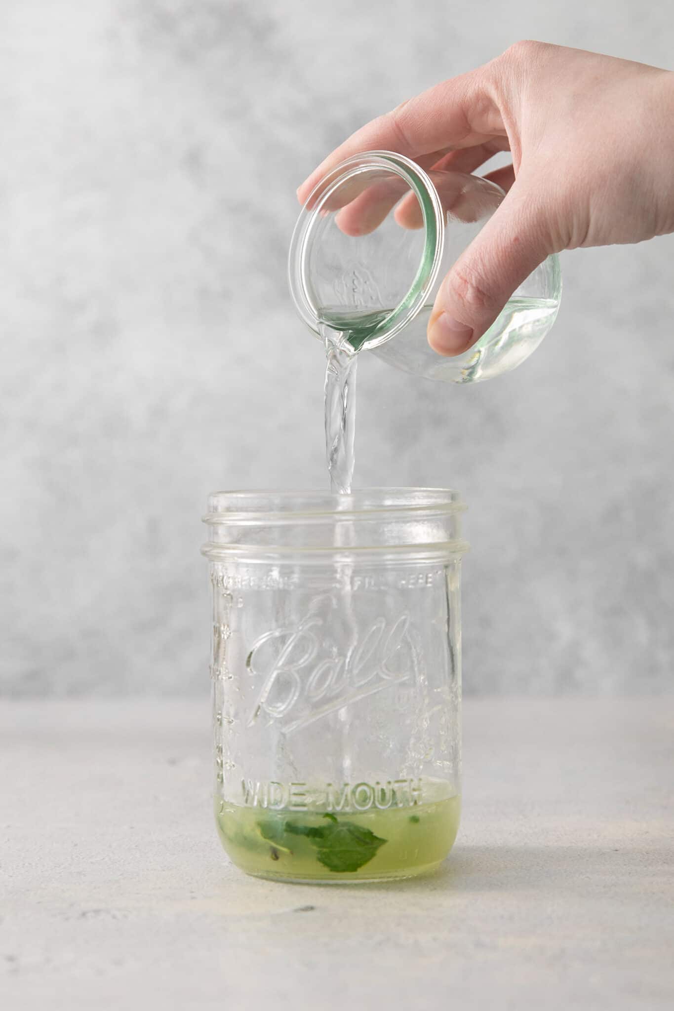 Mojito Recipe | A Farmgirl's Dabbles