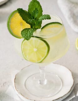 A mojito is shown topped with mint and lime on a white plate.