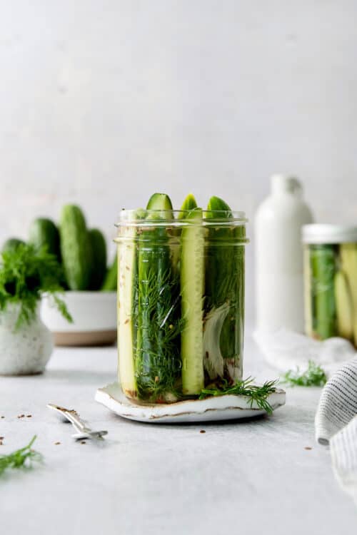 Easy Refrigerator Dill Pickles l A Farmgirl's Dabbles