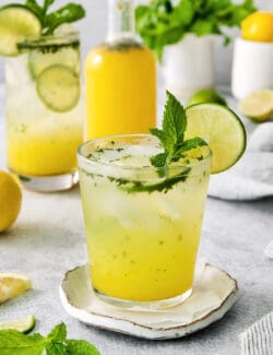 A bootleg cocktail in a glass with mint and lime circles with fruit juice in the background.