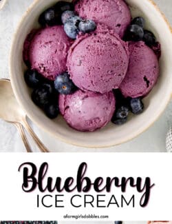 Pinterest image for blueberry ice cream