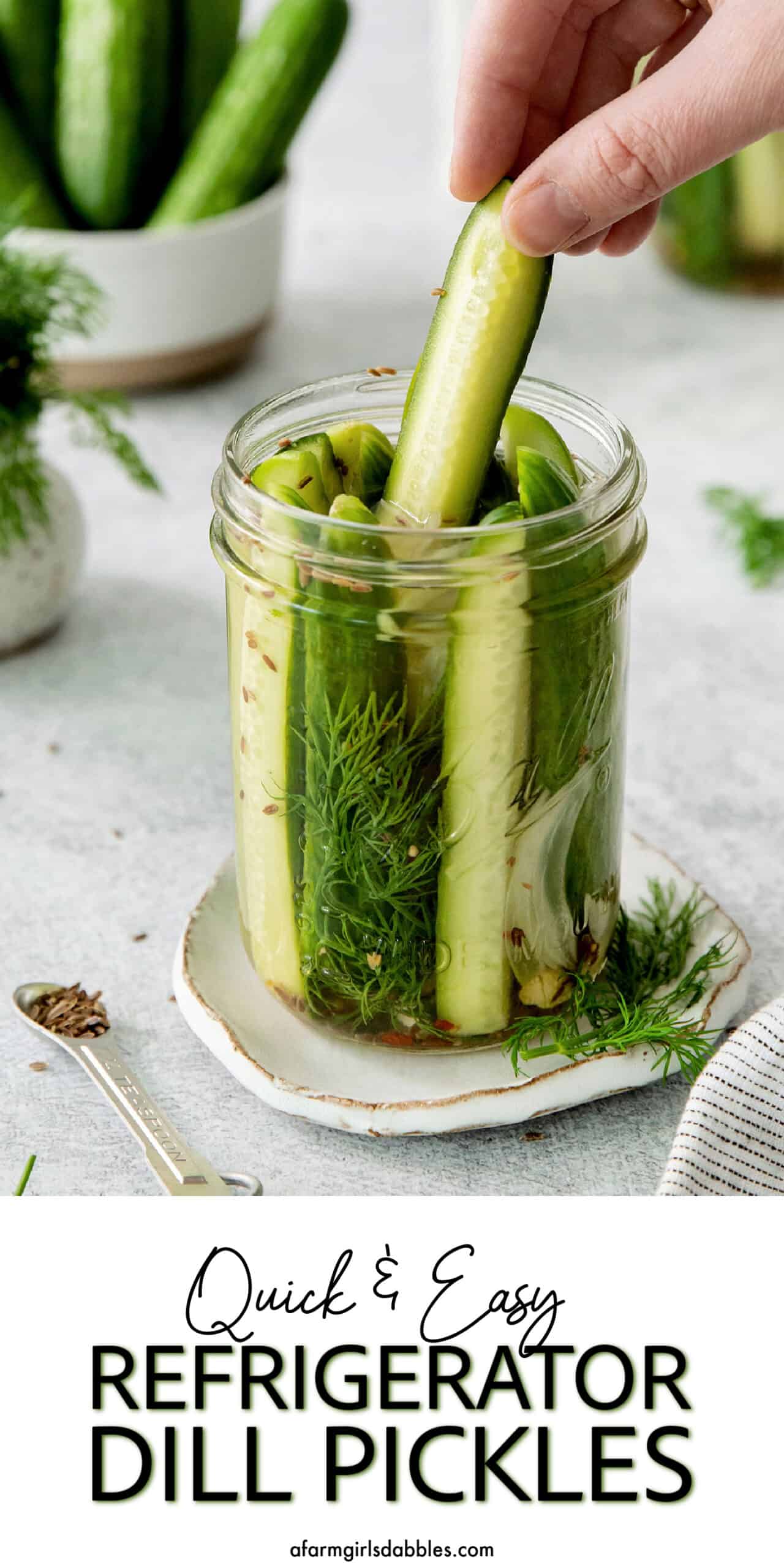 Pinterest image for refrigerator dill pickles