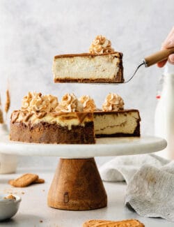 A biscoff cheesecake topped with butterscotch whipped cream is shown on a cake stand.