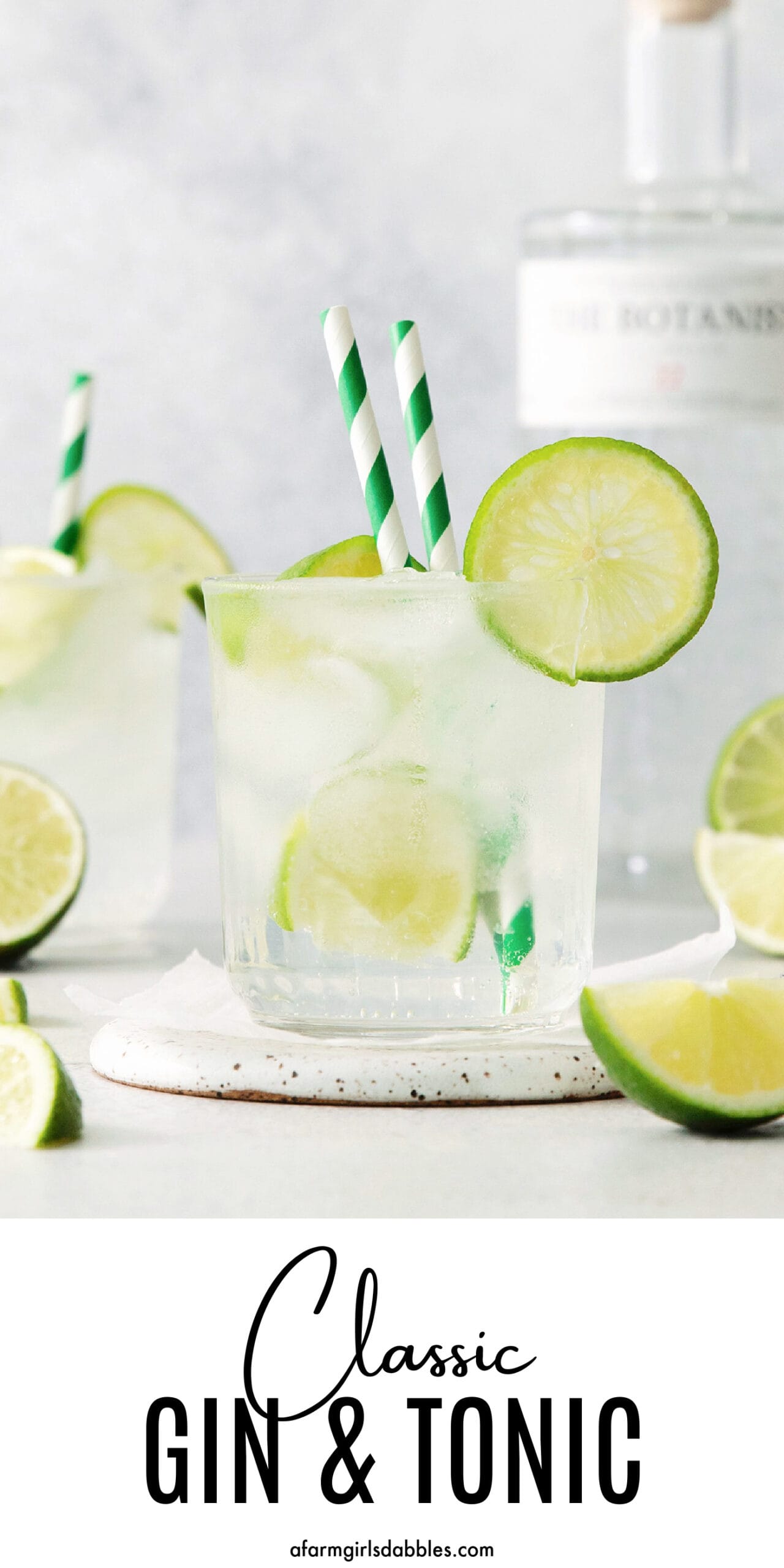 Galway Gin an Tonic Lemon and Lime Pair G600152 - The Home Depot