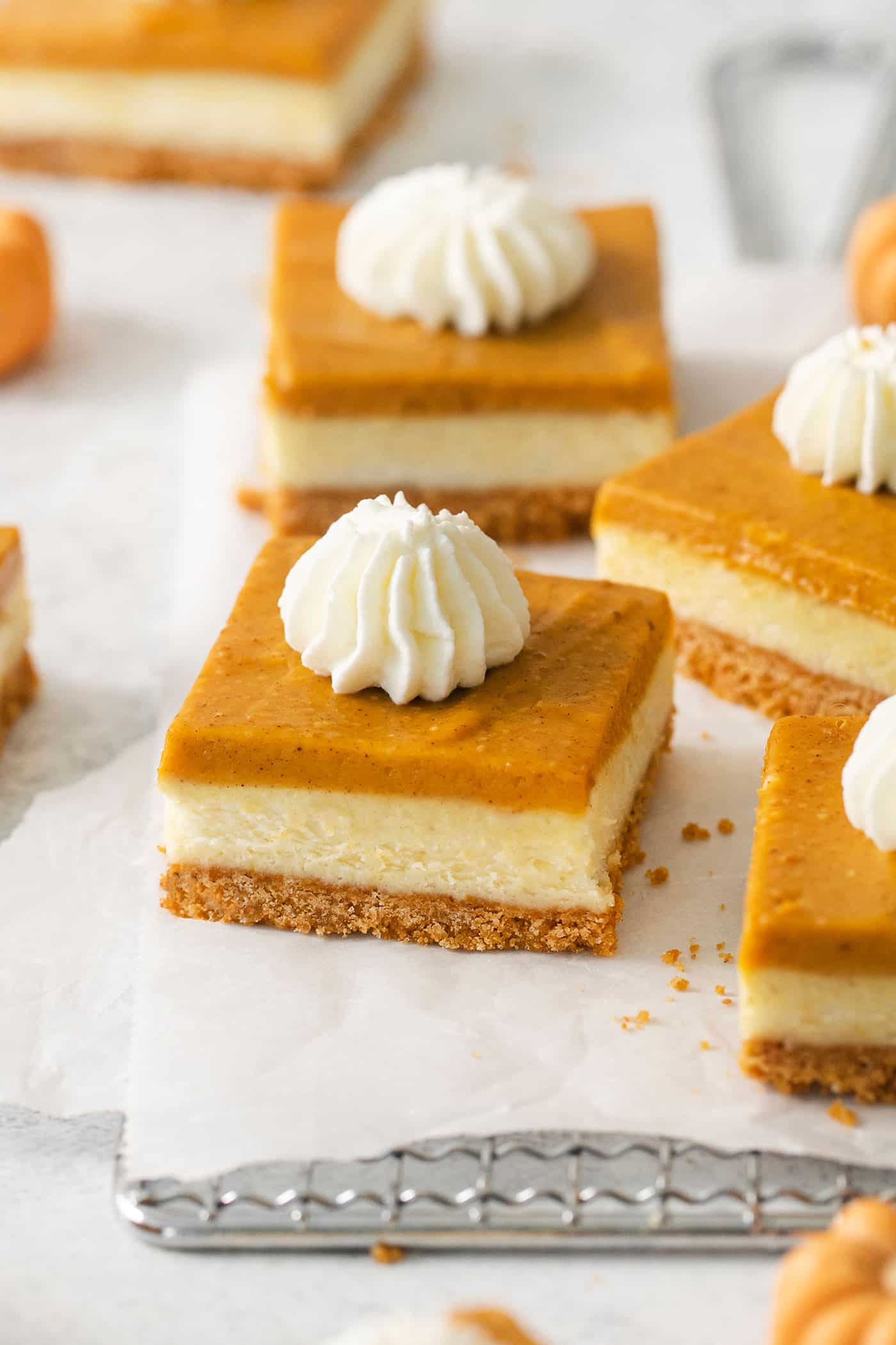 Pumpkin cheesecake bars are shown on a white backgrounf.