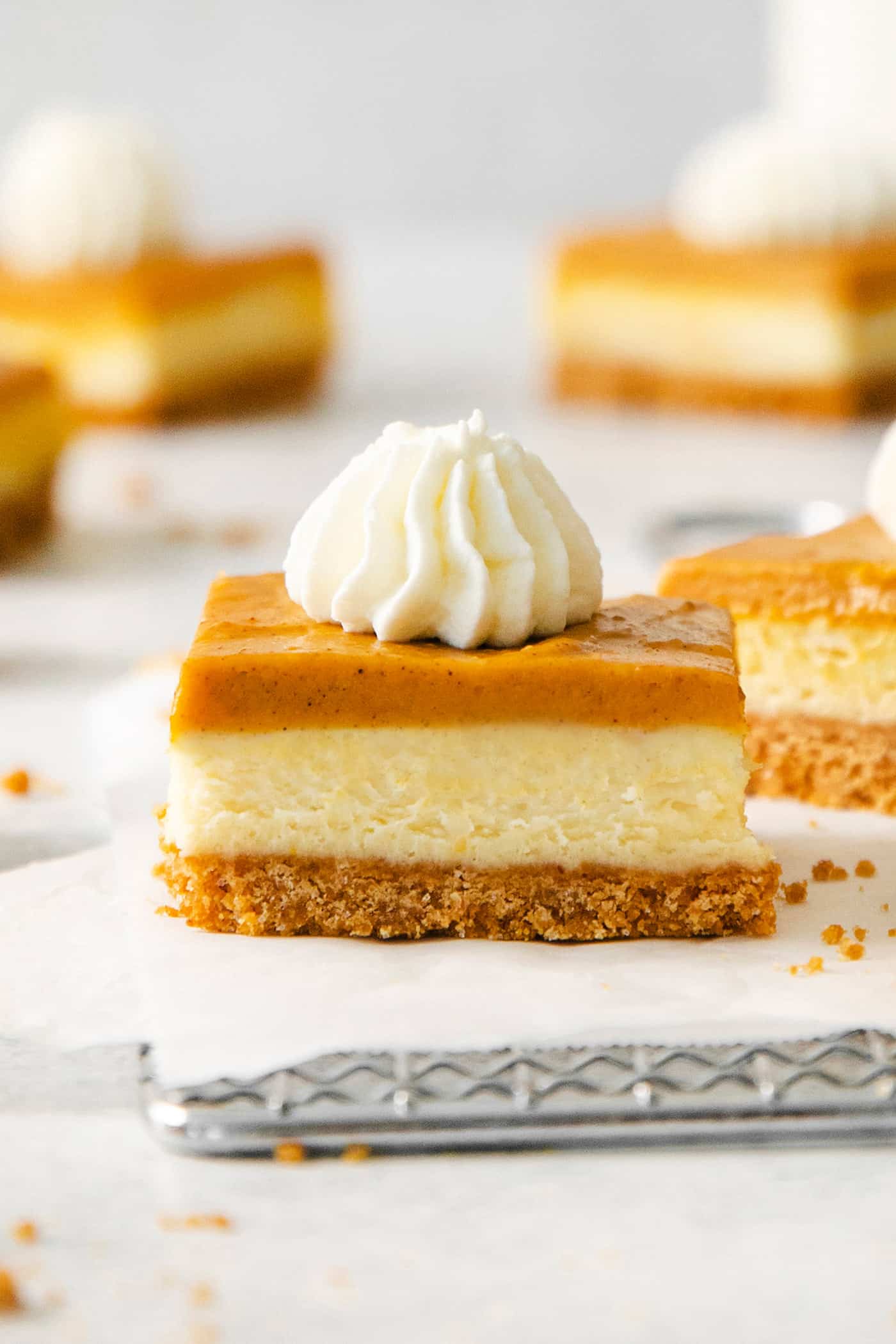 Pumpkin cheesecake bars are shown on a white backgrounf.